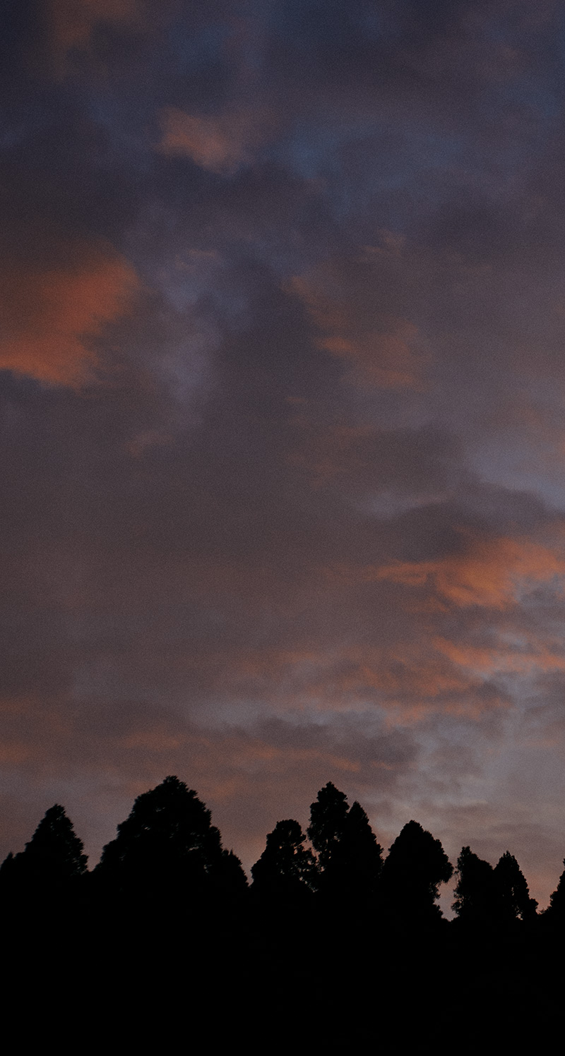 御岳 THE FIRST EDTION BOURBON BARRELS