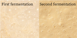 1次発酵/2次発酵