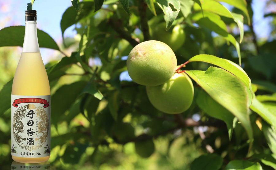好日梅酒