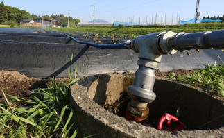 20140528_01 畑かんから伸びるホース