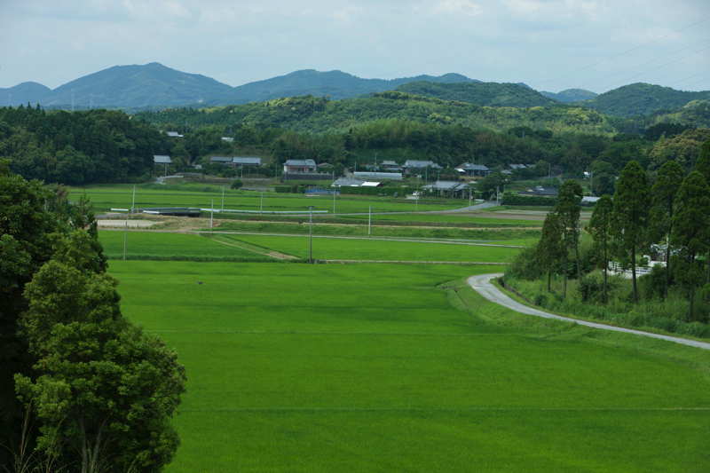 日置市田園風景