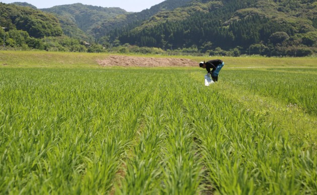 2015.05tanbo