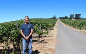 ぶどう畑と石窪さん