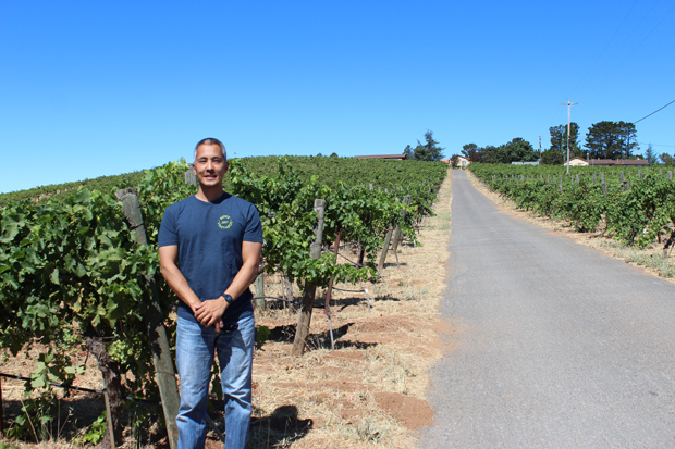 ぶどう畑と石窪さん